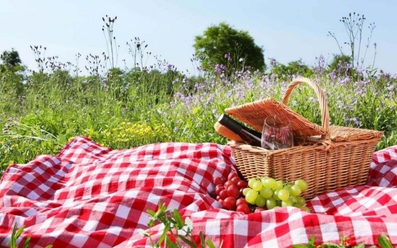 Piknik Yapmak İçin Araç Önerileri – En İyi Seçenekler